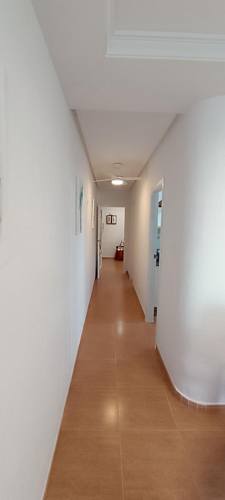 Apartamento Isabel
